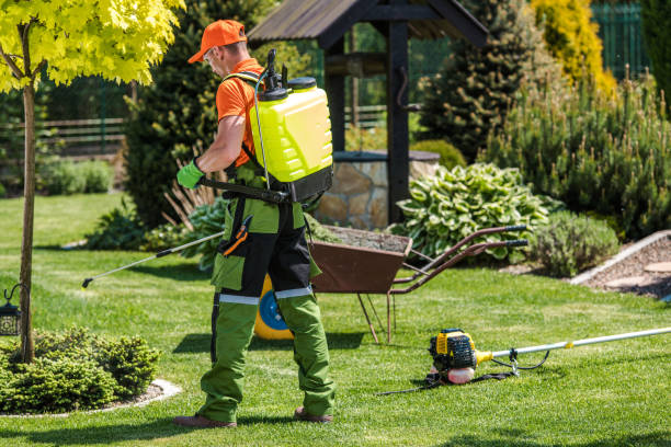 Lawn Pest Control in Woodway, WA